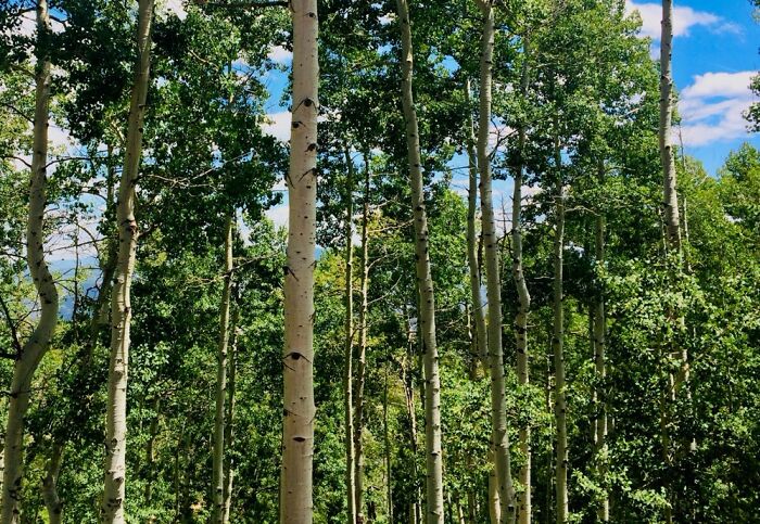 Here Are 17 Beautiful Photos Of Nature In The Mountains