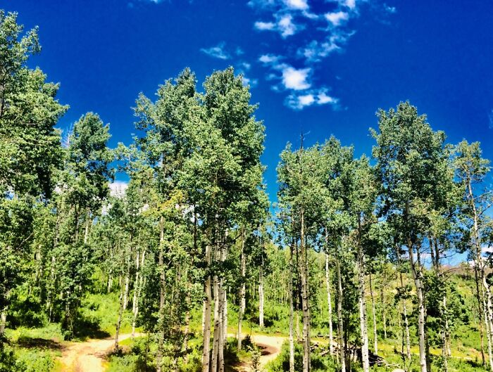 Here Are 17 Beautiful Photos Of Nature In The Mountains