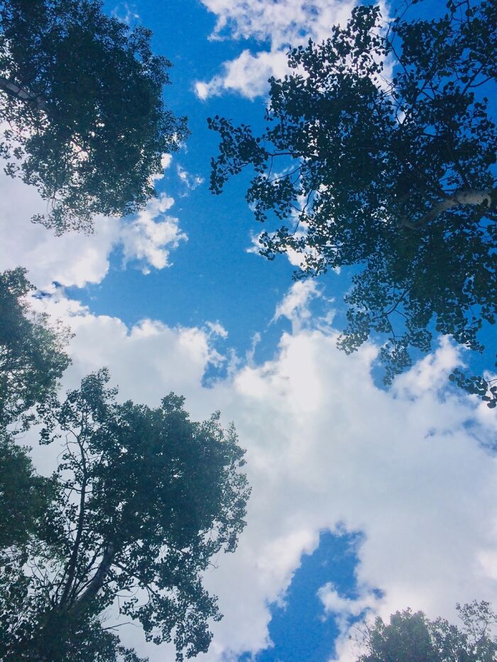 Here Are 17 Beautiful Photos Of Nature In The Mountains