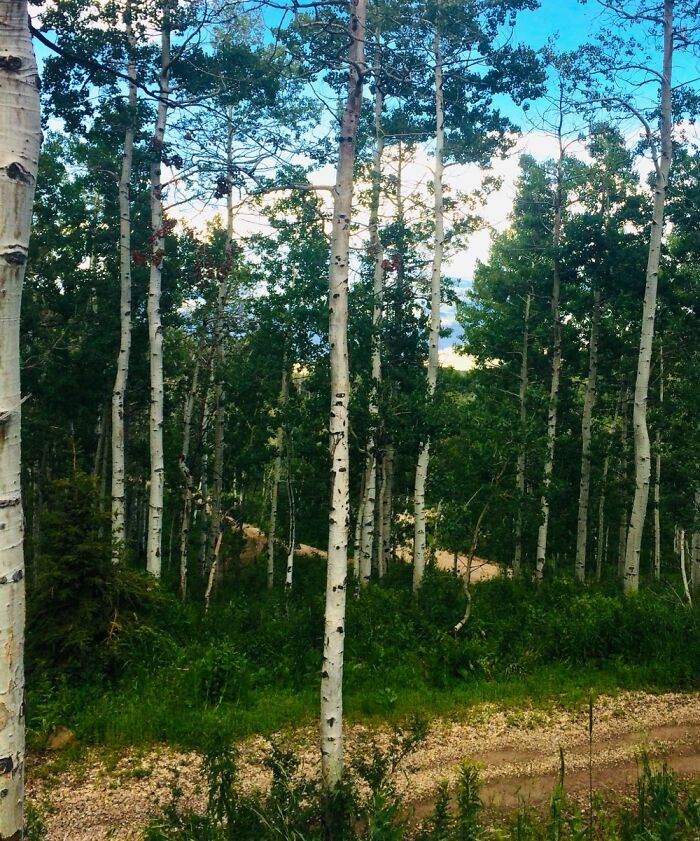 Here Are 17 Beautiful Photos Of Nature In The Mountains