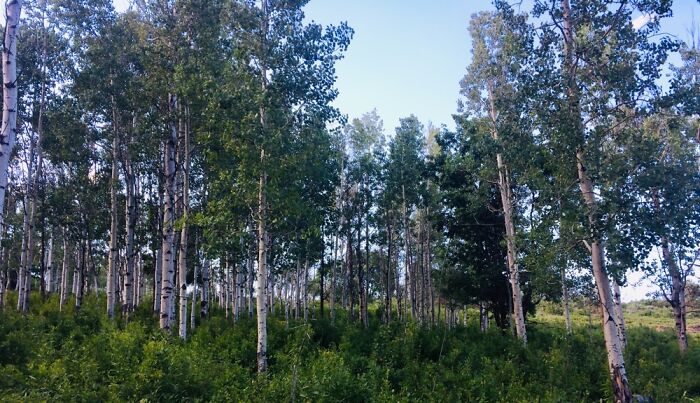 Here Are 17 Beautiful Photos Of Nature In The Mountains