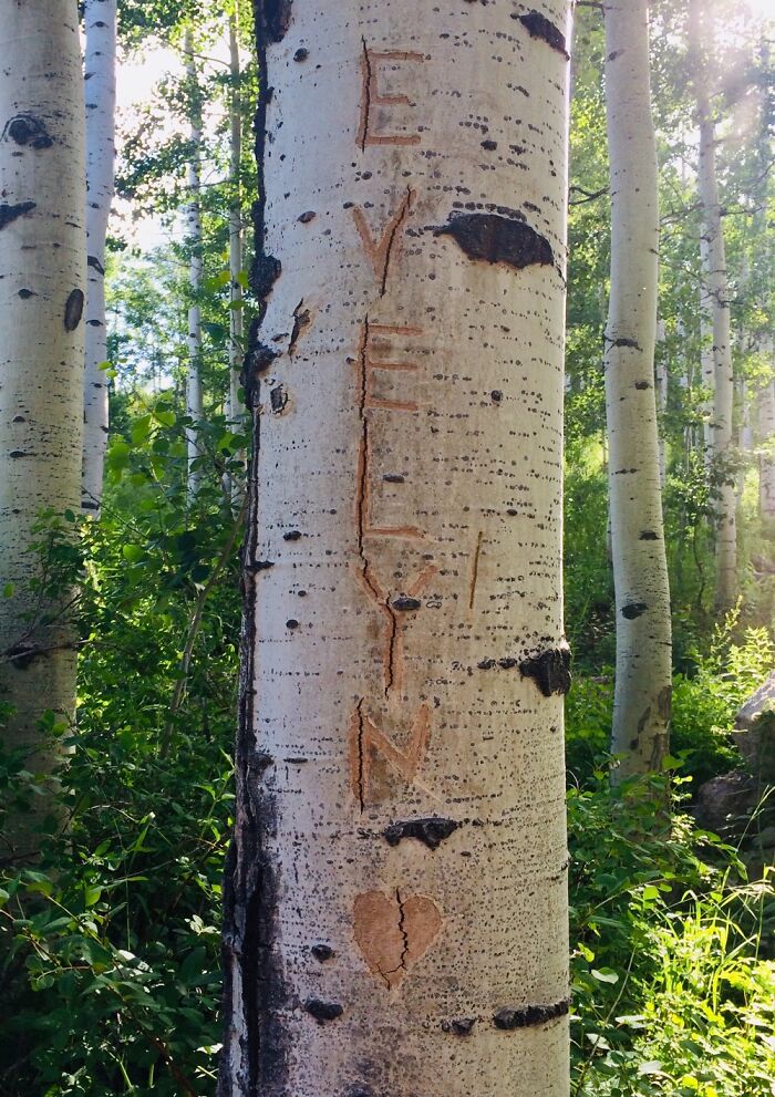 Here Are 17 Beautiful Photos Of Nature In The Mountains