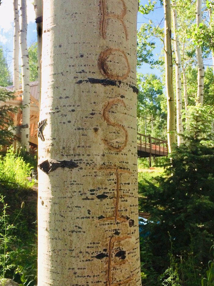 Here Are 17 Beautiful Photos Of Nature In The Mountains