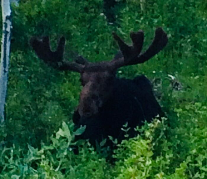 Here Are 17 Beautiful Photos Of Nature In The Mountains