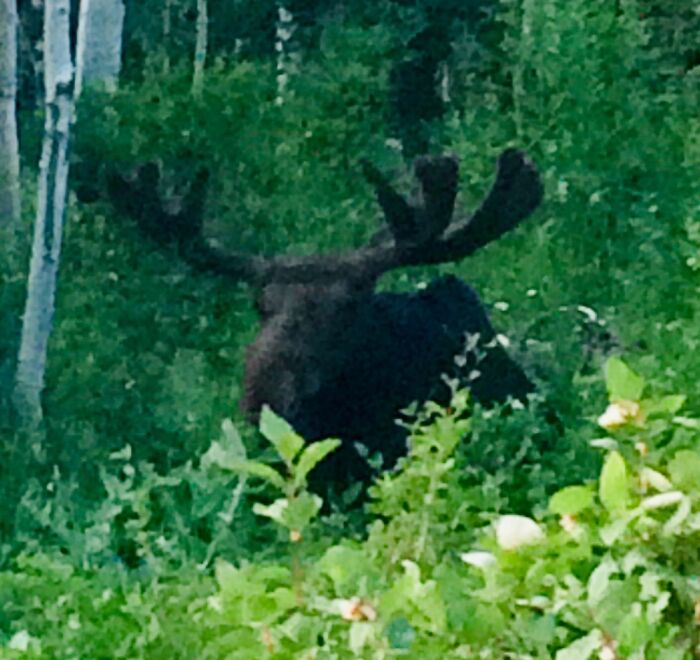 Here Are 17 Beautiful Photos Of Nature In The Mountains