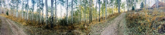 Here Are 17 Beautiful Photos Of Nature In The Mountains