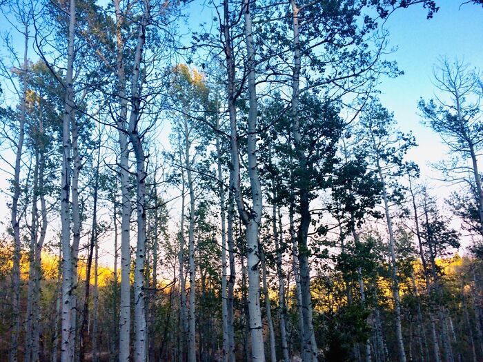 Here Are 17 Beautiful Photos Of Nature In The Mountains