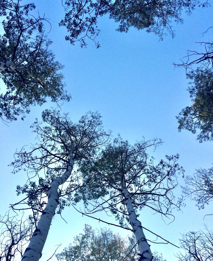 Here Are 17 Beautiful Photos Of Nature In The Mountains