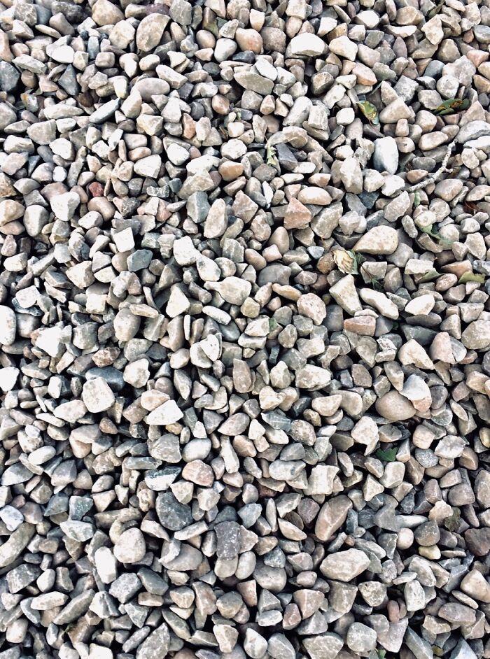 Here Are 17 Beautiful Photos Of Nature In The Mountains