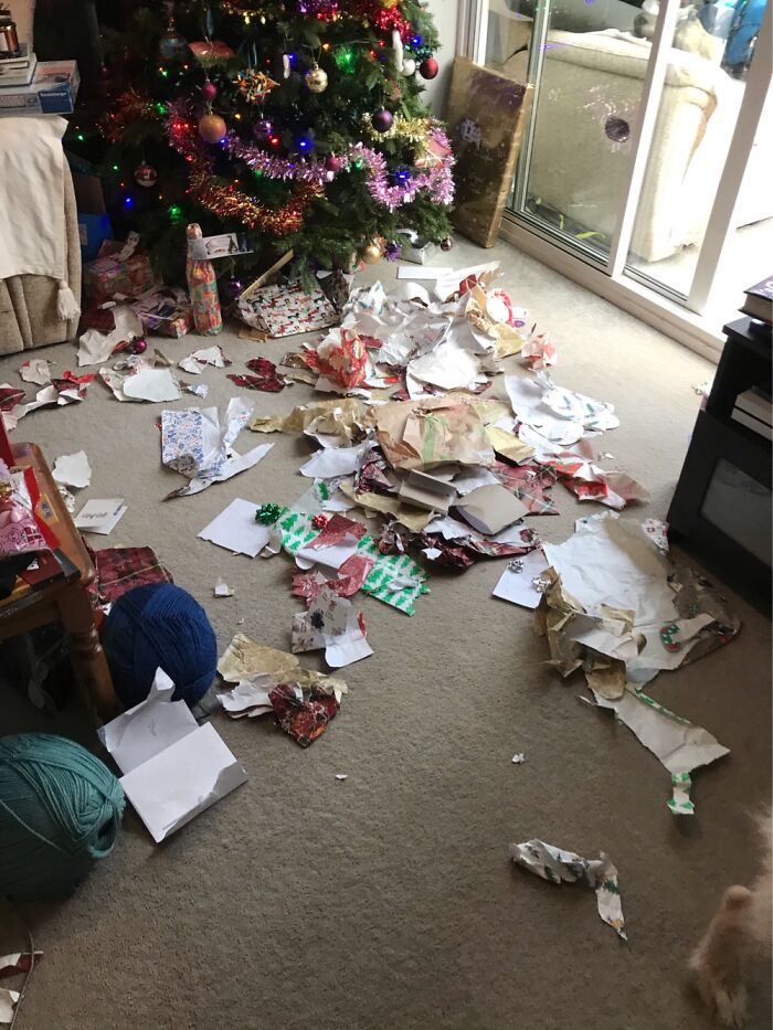 Leftover Wrapping From Christmas Presents (They Were Already Opened). Left Him For A Minute