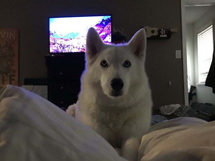 Being A Very Hopeful Girl