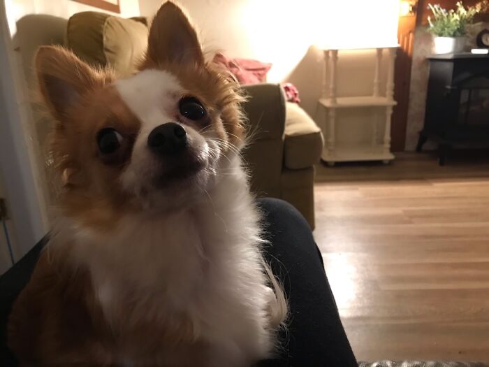 Charlie- Just Being Cute ☺️