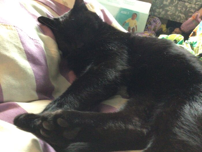 Chillen On A Beanbag