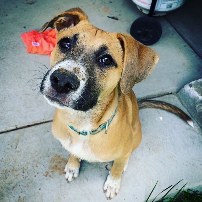 Moments After Our Cooling System Shut Down In Mid Summer