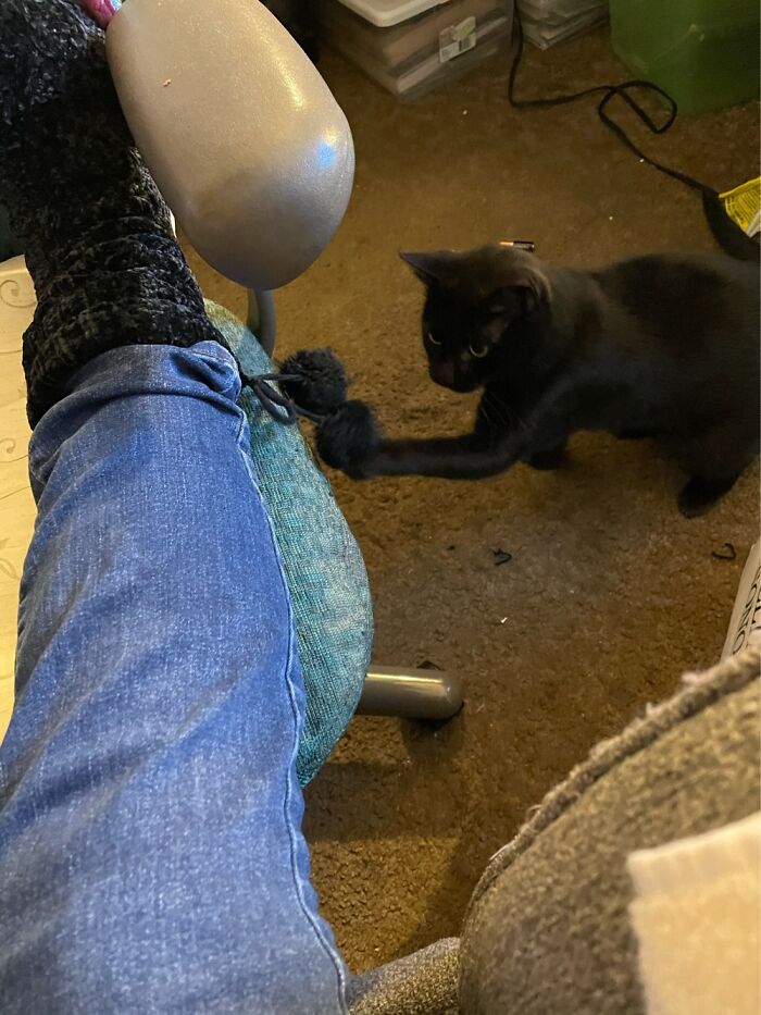 I Got Slipper Socks For Xmas W/Puffy Balls On Each Sock. Betty Decided They Looked Better W/Out