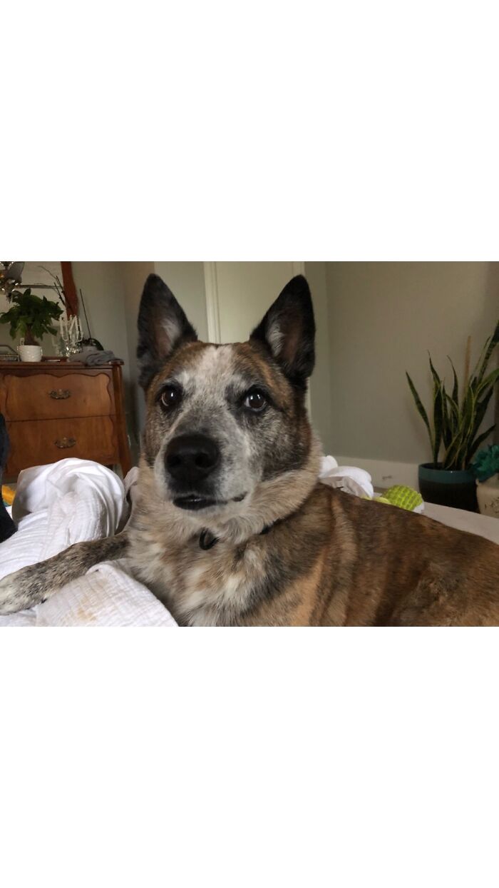 I’m At Work, But I Imagine Him Home Being Weird Waiting For Time To Pass By.