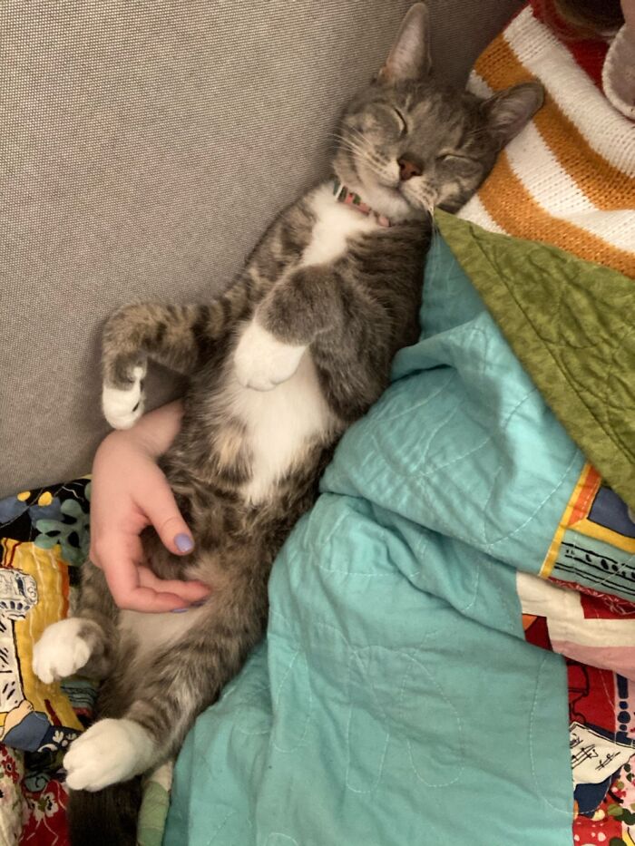 Enjoying Some After Work Snuggle Time