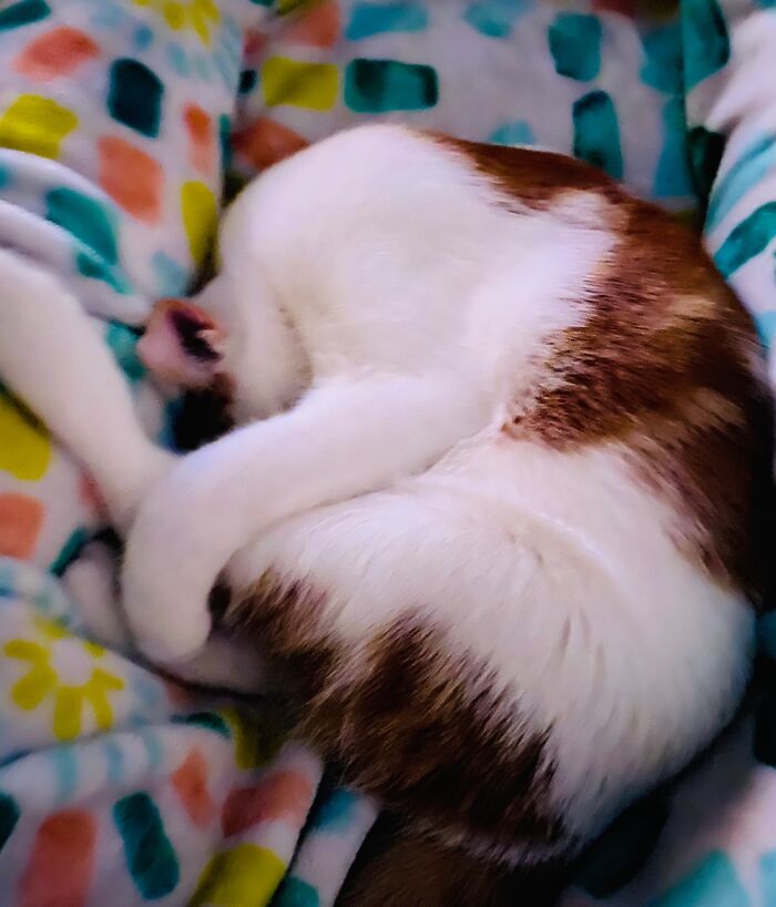 Sleeping As A Circle.