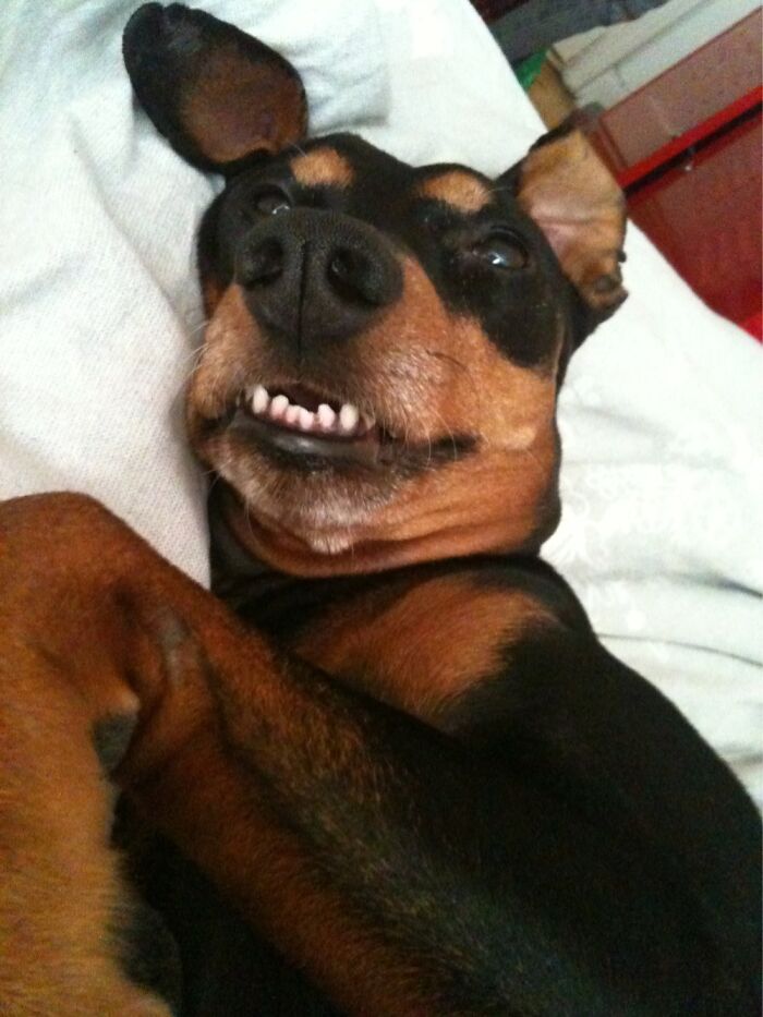 You Are Beautiful, No Matter What They Say