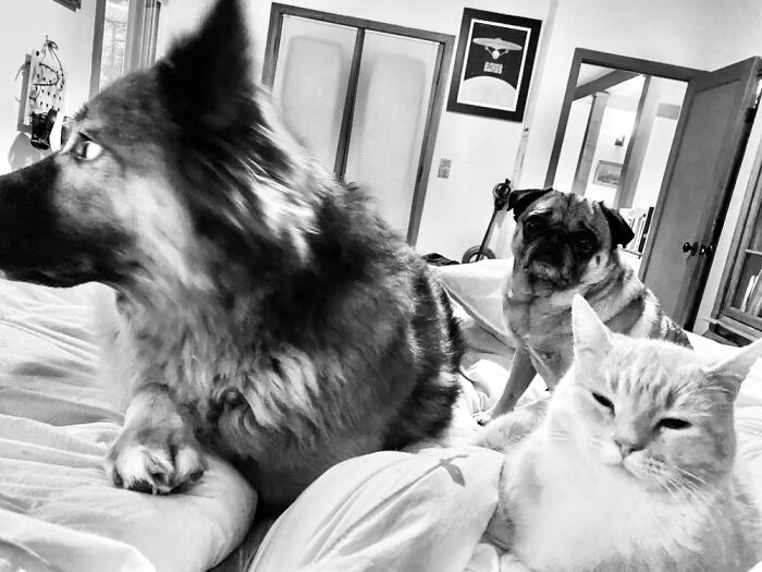 Moms Stuck In Bed Again Must Keep Her Company