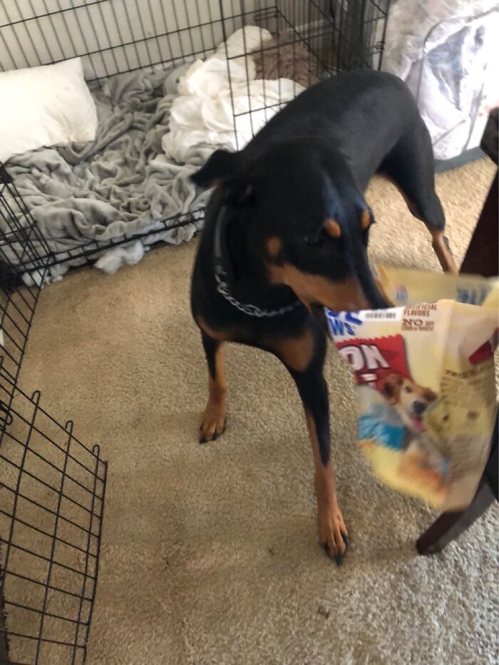 What Is This? I Found It In My Mouth I Swear