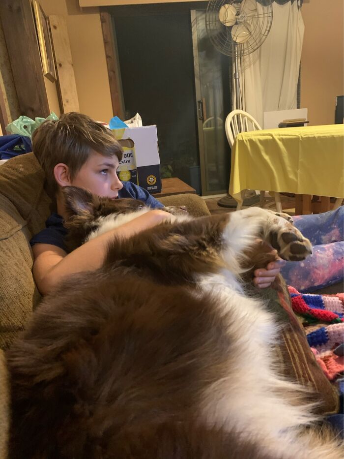 My Dog Thinks My Kid Is Another Puppy. He Power Eats His Food When My Son Comes Down The Stairs