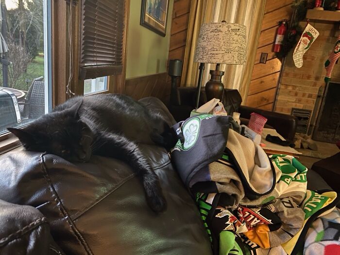 We Think She Was Hung Over