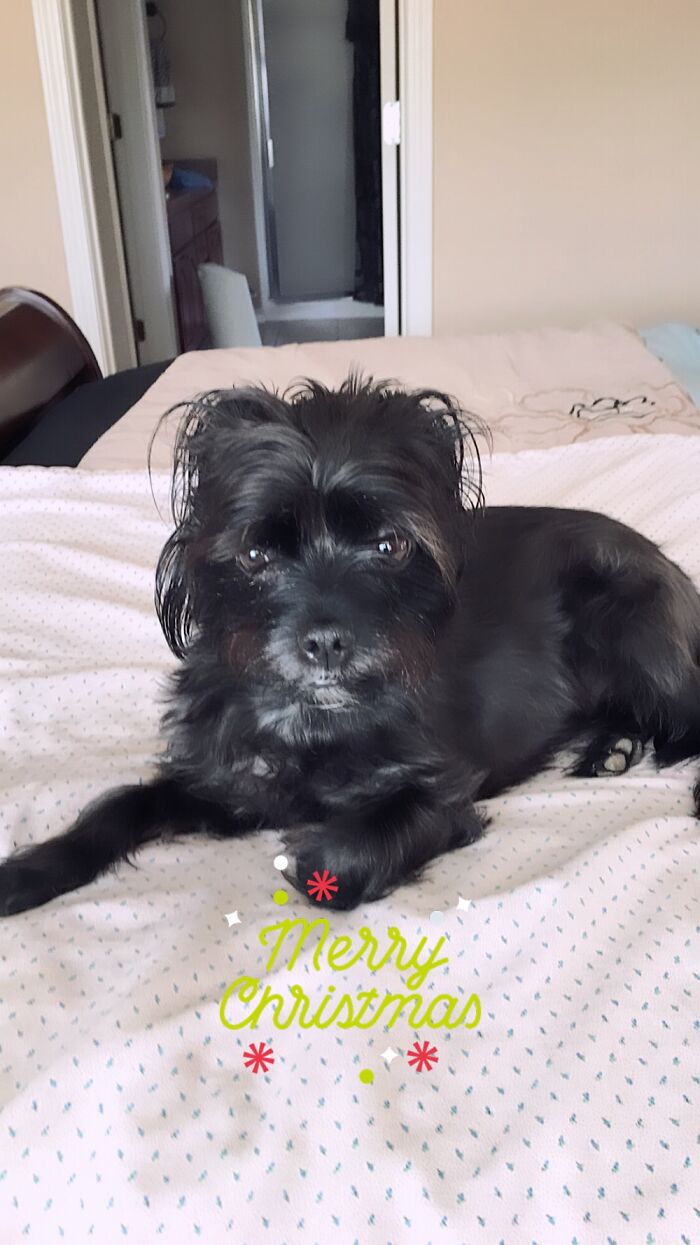 This Is My Best Friend Diemond