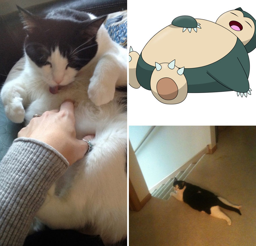 Always Blocking The Path