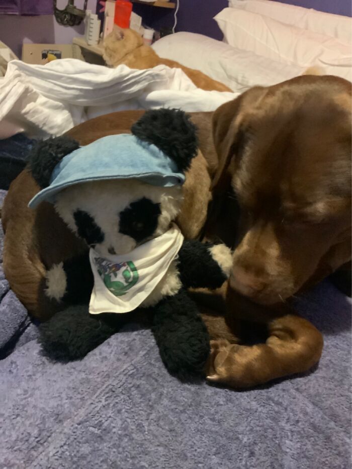 Tatty Panda. Is 9 Years Older Than Me (62)