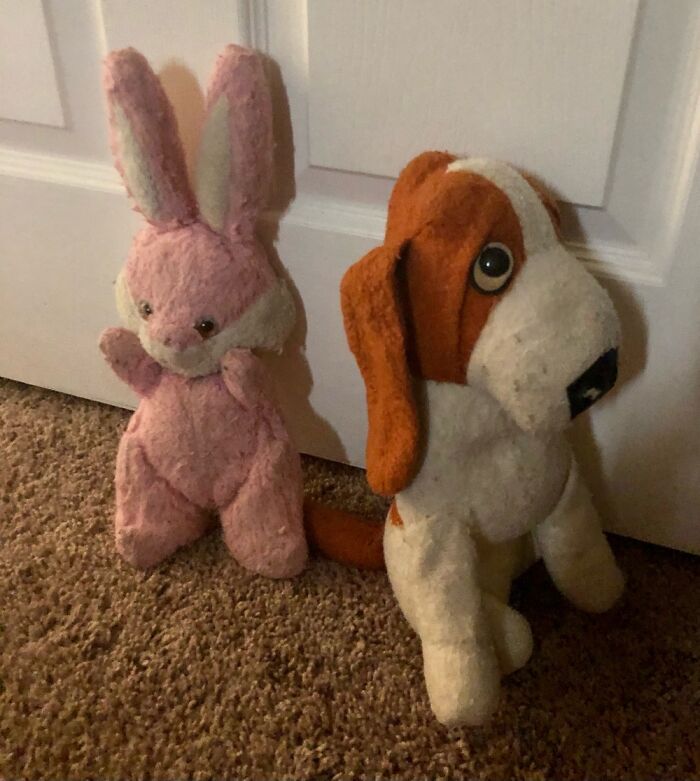 My Fist Word Was “Doggie” When I Saw It. “Bun-Bun Came Not Long After. It’s Been 40 Years ❤️