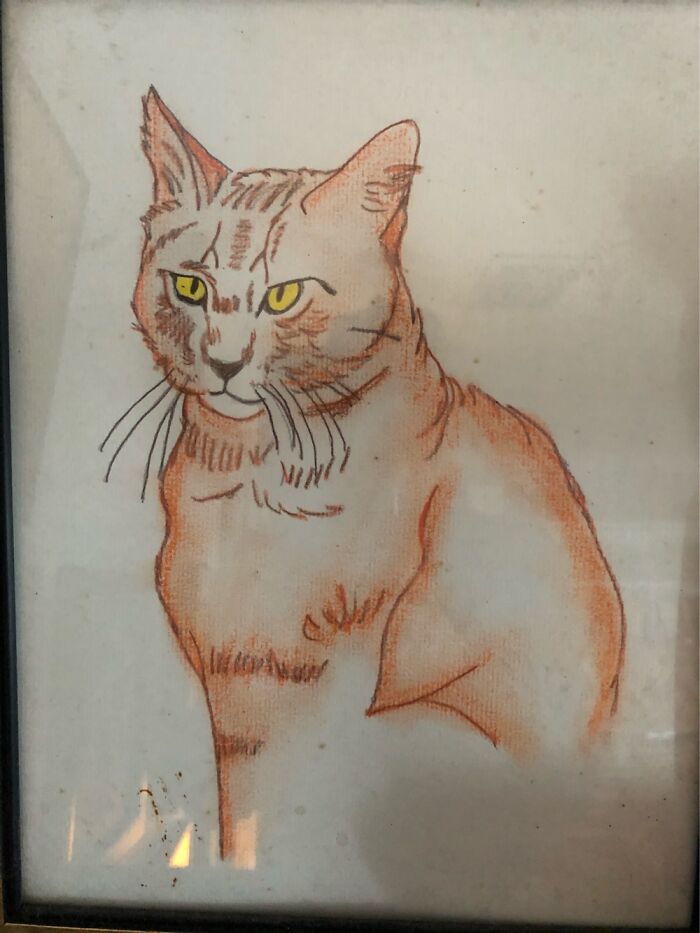 Here’s A Kitty For You