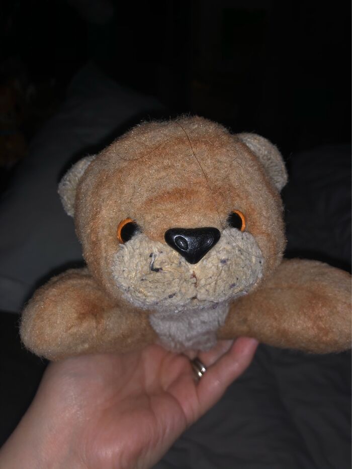 Orange Kitty. I’ve Had Her Since The Fifth Grade. I’m 44 And She Still Sleeps With Me.