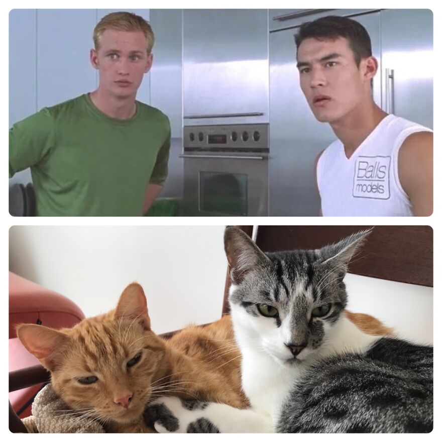 Brint And Meekus From Zoolander - Incredibly Good-Looking