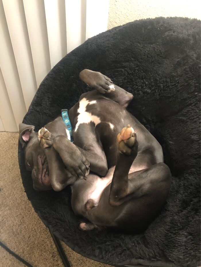 I’s A Pretzel Mom!