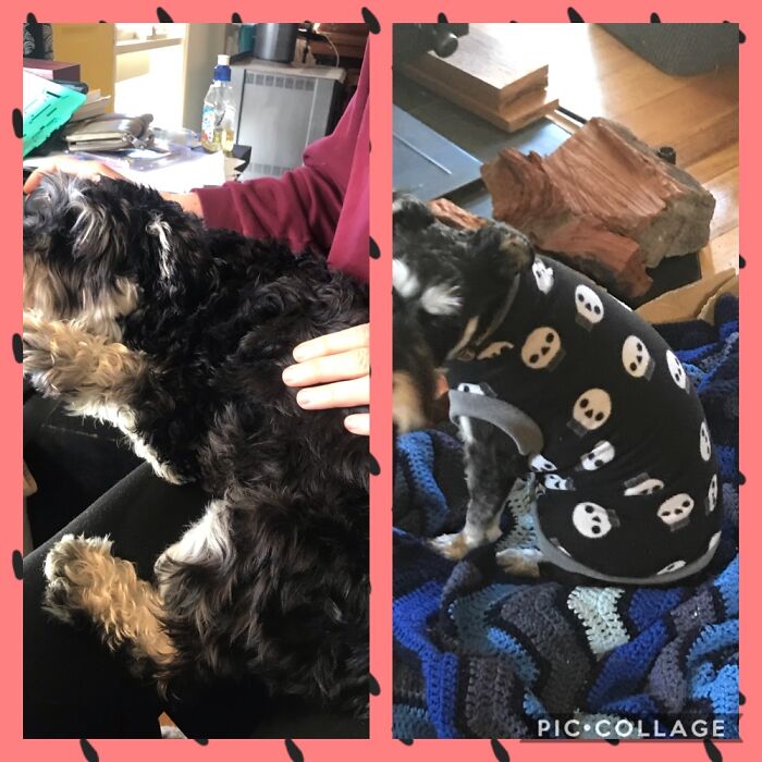 From Scared And Cold To Warm And Snuggly