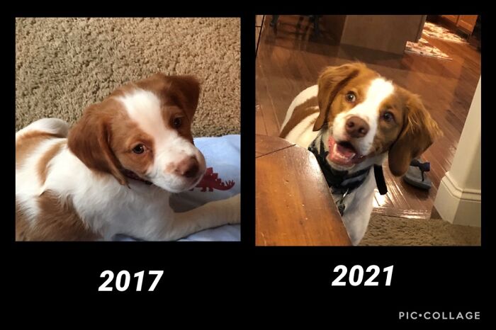 Finnegan, Such A Good Boy!