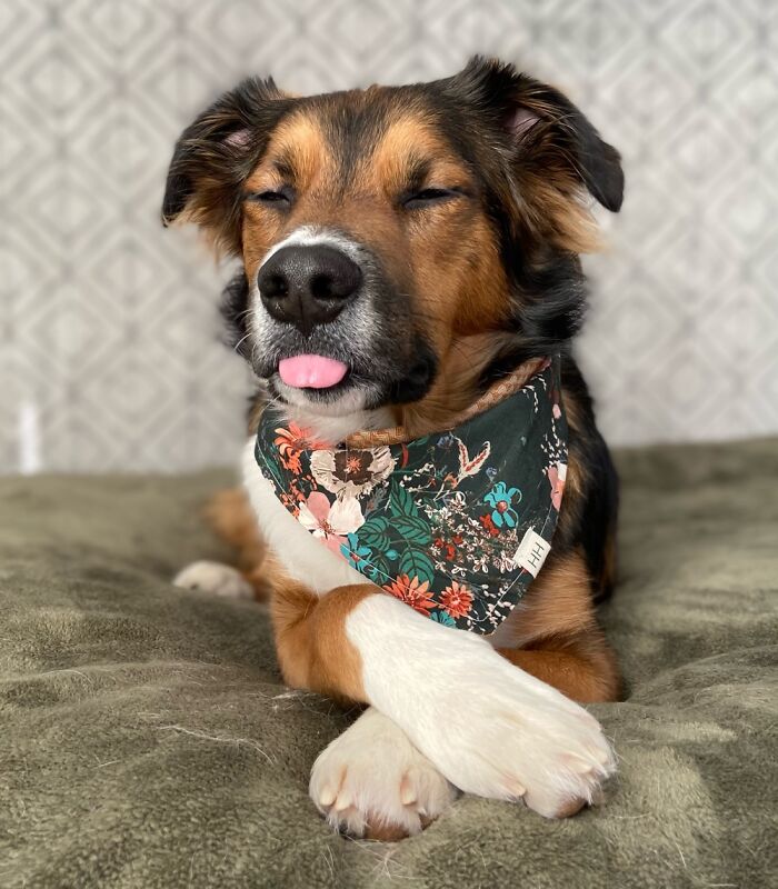 Gendry Is Displeased