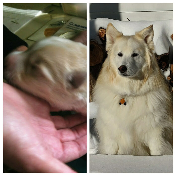 1 Week Old (Sorry It's Blurry) And 8 Years Old