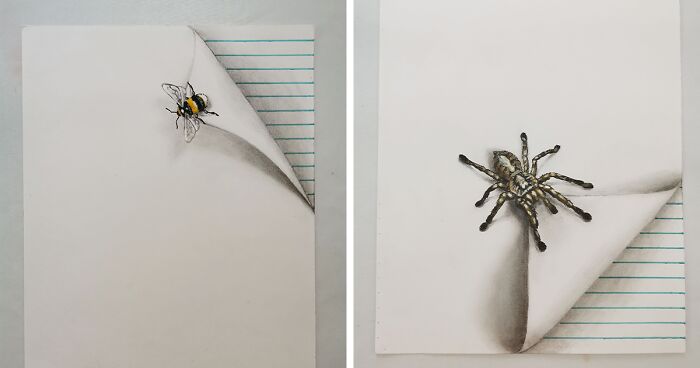 I Draw These Illusions With Cute Little Insects (6 Pics)
