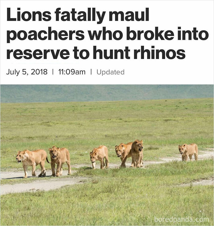 Got What They Deserved