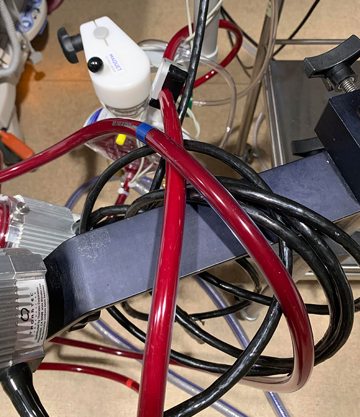 Color Difference In Oxygenated And Deoxygenated Blood