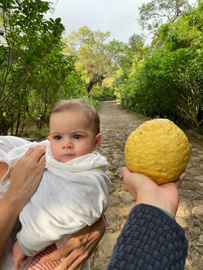 Tiny Human For Scale (Lemon)