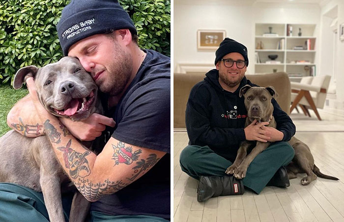 Actor Jonah Hill Expresses His Joy After Adopting A 3-Year-Old Doggy, Gets Praised by 336K People On Instagram