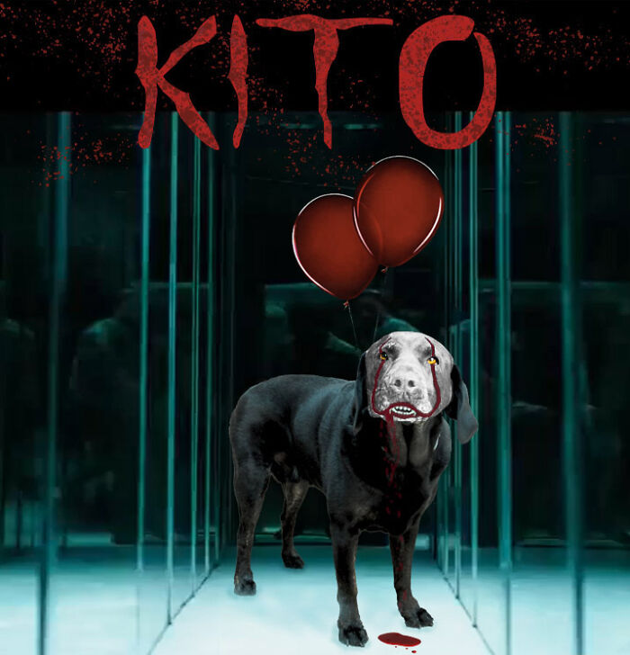 Kito