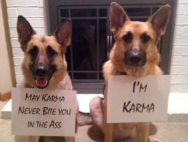 karma-6004db3a4f9ad.jpg