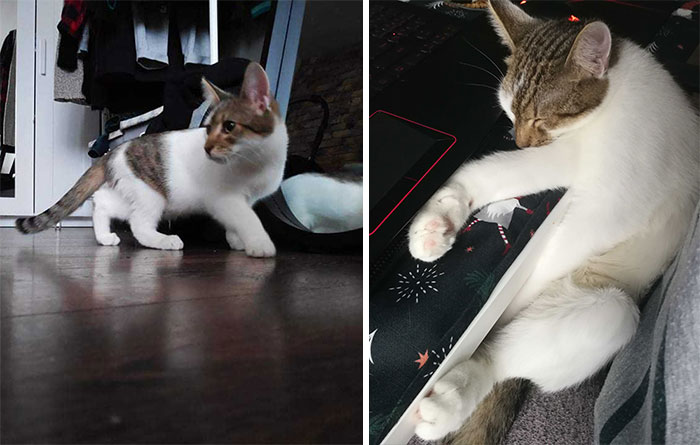 Only A Little Over A Month Has Passed, They Grow Up So Fast. Their Attitude Too