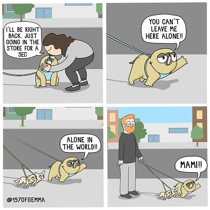 Life-With-Pug-Mochi-Comic-Gemma-Gene-157ofgemma