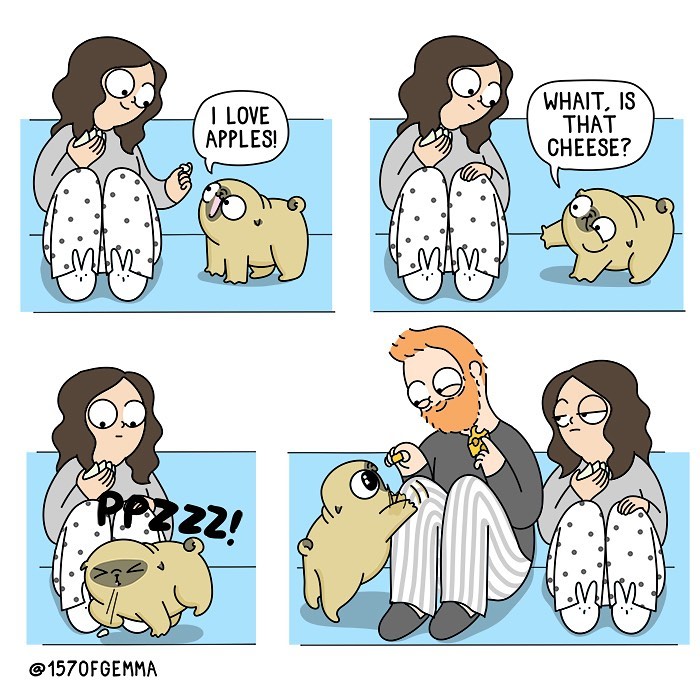 Life-With-Pug-Mochi-Comic-Gemma-Gene-157ofgemma