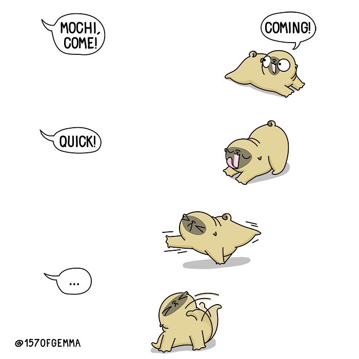 Life-With-Pug-Mochi-Comic-Gemma-Gene-157ofgemma